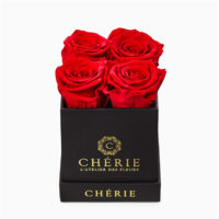 black preserved flowers packaging box - Image 4